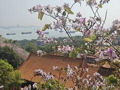 -南沙天后宫景区