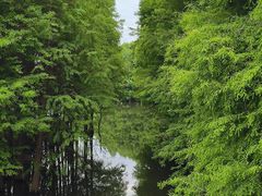 -厦门园林博览苑