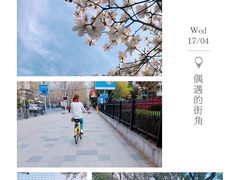 -多乐之日(田林东路店)