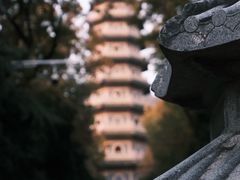 -灵谷景区