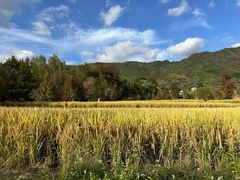 -塔川景区