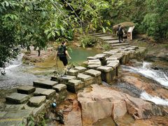 -广州白江湖森林公园