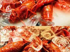 -怪怪龙虾·澳洲蓝龙上新(惊驾路店)