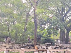 -西园戒幢律寺