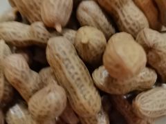 -龚海宝· 烧烤· 羊肉原切挂糊更好吃(庄市店)