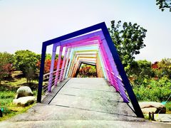 -上海杨姆庄园