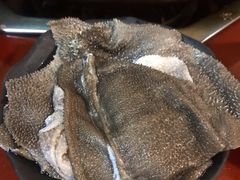 鲜毛肚-安胖老火锅(两路口店)