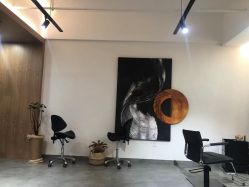 -C-18 SALON