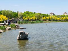 -天津东丽湖风景区