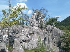 -千岛湖石林