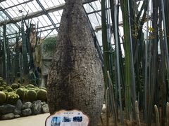 -南山植物园