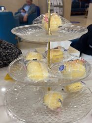 -碧莲盛·不剃发植发