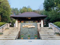 -天目湖涵田半山温泉