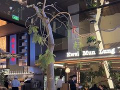 -桂满陇·海市蜃楼·黑金(国金店)