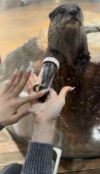 -Zoolung Zoolung动物主题公园(海信广场店)