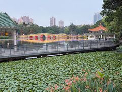 -荔湾湖公园