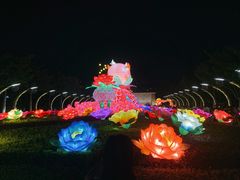 -映月湖公园
