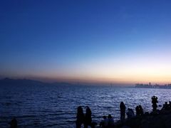-深圳湾公园(南山区)