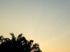 -维乐口腔医院(星海湾分院)