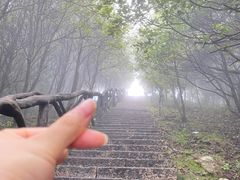 -梧桐山风景名胜区