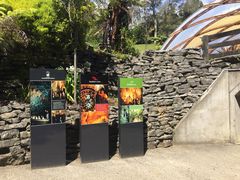 -怀托摩萤火虫洞