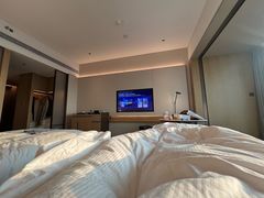 -深圳国际会展中心希尔顿酒店(前海华发冰雪世界店)