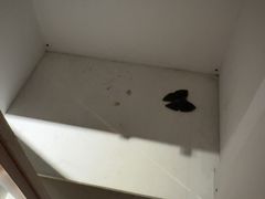 -Xcape异时刻密室逃脱魔法互动(瑞虹天地太阳宫店)