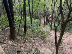 -梧桐山风景名胜区