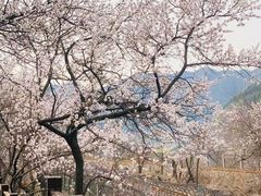 -居庸关长城