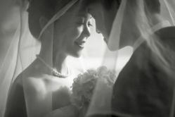 点击看大图 -金夫人婚纱摄影(华南店)
