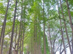 -渤公岛生态公园
