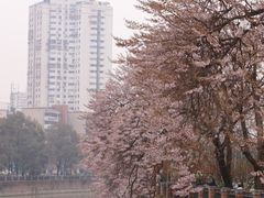 -红星桥(地铁站)