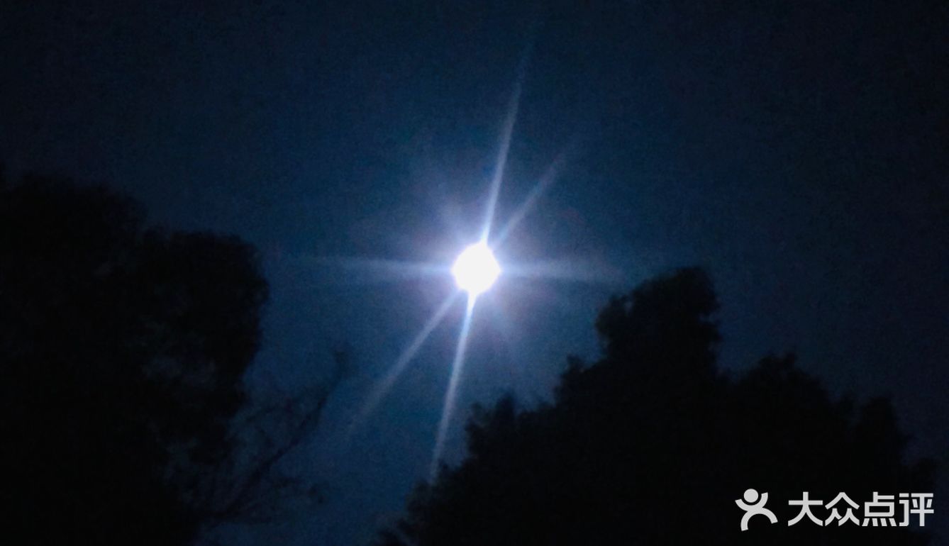 略显悲伤 松枝烤鸡、熏牛肉