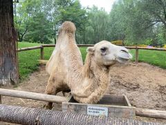 -北京野生动物园