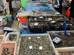 -东漖肉菜综合市场
