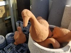 -龙大花卉苗木市场