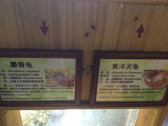 5.9-上海大自然野生昆虫馆
