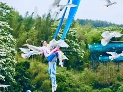 -瓷天下海丝谷