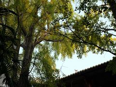 -自贡市盐业历史博物馆