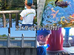 -广州莲花山旅游区