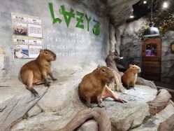 -Zoolung Zoolung动物主题公园(海信广场店)