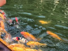 -天山海世界