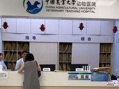 -中国农业大学动物医院
