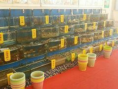 景观位-渔中舟海鲜大排档(普陀沈家门店)