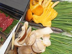 -木王宴语·野生鲜菌火锅(玉河店)