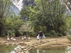 -靖西鹅泉风景区