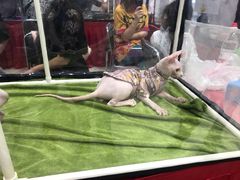 -凯德广场(学府店)