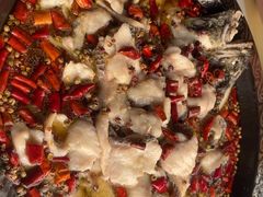 -金三可市井水煮鱼(金碧园店)