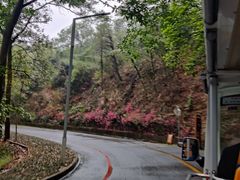 -红花湖景区