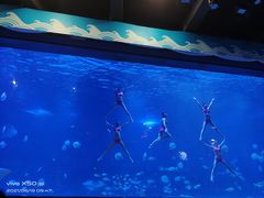 -烟台海昌鲸鲨海洋公园